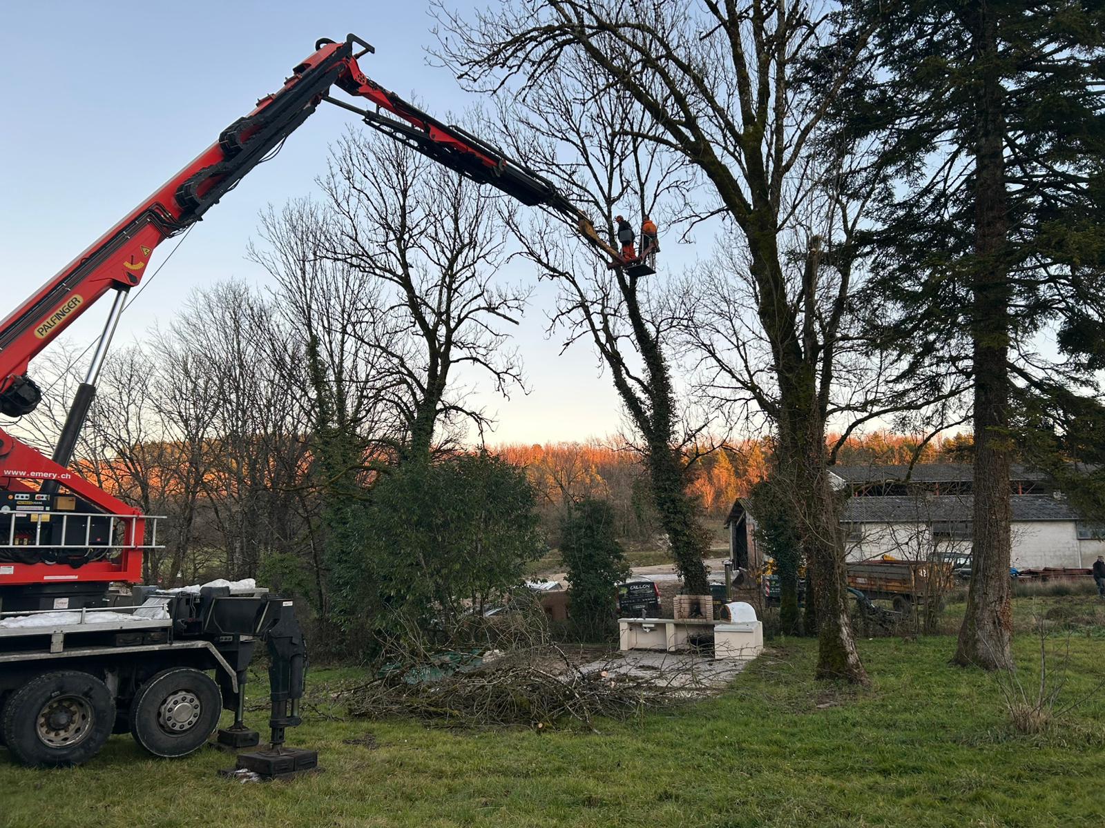 Élagage d'arbre en nacelle dans le Jura — SAS POLYVIER